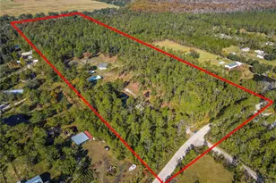 6100 Winning Wood Trl, De Leon Springs, FL 32130 - Photo 5