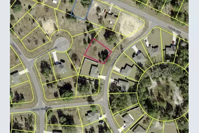 0 Malauka Radial Cir, Ocklawaha, FL 32179 - Photo 1