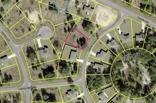 0 Malauka Radial Cir, Ocklawaha, FL 32179 - Photo 1