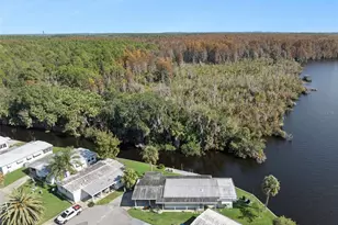 120 Breezy Point, Eustis, FL 32726 - Photo 45