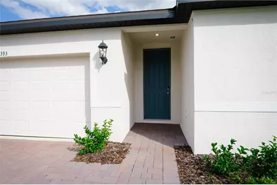 2393 White Tail Street, Davenport, FL 33837 - Photo 3