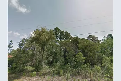 8383 N Manuetta Drive, Citrus Springs, FL 34434 - Photo 1