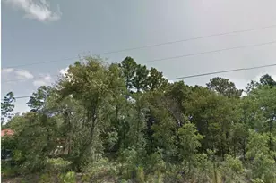 8383 N Manuetta Dr, Citrus Springs, FL 34434 - Photo 1