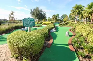 10231 Meadow Brook Dr, Winter Garden, FL 34787 - Photo 33