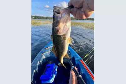 10249 NE 28th Loop #P, Silver Springs, FL 34488 - Photo 63