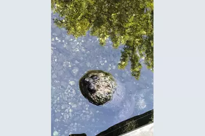 10249 NE 28th Loop #P, Silver Springs, FL 34488 - Photo 71