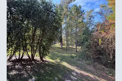 10249 NE 28th Loop #P, Silver Springs, FL 34488 - Photo 13