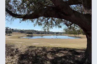 3781 Cohen Drive #724, Zellwood, FL 32798 - Photo 51