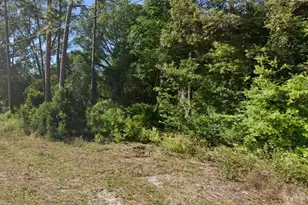 SE 17th Ln, Ocklawaha, FL 32179 - Photo 1