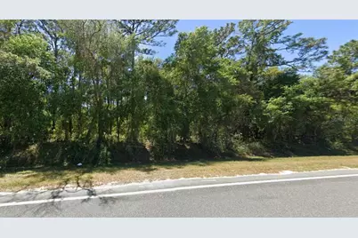 Se 17th Lane, Ocklawaha, FL 32179 - Photo 1