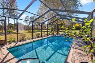 7420 SE 117th Terrace, Morriston, FL 32668 - Photo 45