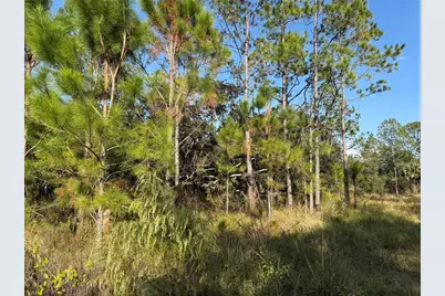 River Ranch Boulevard, Lake Wales, FL 33898 - Photo 1