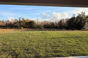 17602 Pleasantview Blvd, Land O Lakes, FL 34638 - Photo 27