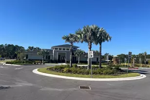 2770 Raindrop Run St, Clermont, FL 34714 - Photo 21