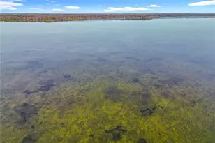 4192 Cr 400, Lake Panasoffkee, FL 33538 - Photo 43