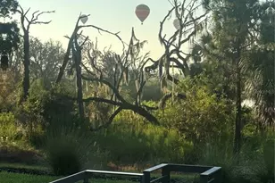 8950 Fallen Oak Dr, Davenport, FL 33896 - Photo 51