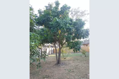 5398 Oxford Manor Circle, Lakeland, FL 33810 - Photo 77