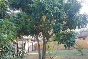 5398 Oxford Manor Cir, Lakeland, FL 33810 - Photo 77