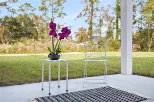 8017 N Maltese Dr, Citrus Springs, FL 34433 - Photo 45