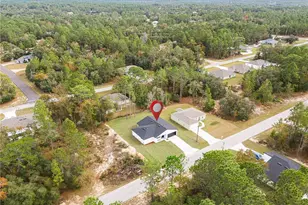 8017 N Maltese Dr, Citrus Springs, FL 34433 - Photo 45