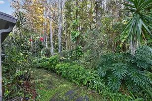 5812 Red Cedar Ln, Tampa, FL 33625 - Photo 5