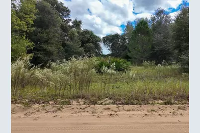 206 N Helmers Avenue, Interlachen, FL 32148 - Photo 19