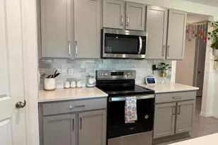 6009 Wandering Willow Dr, Wesley Chapel, FL 33545 - Photo 3