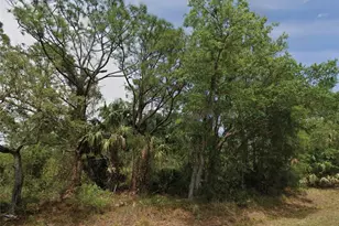 23280 Wicker Ave, Punta Gorda, FL 33980 - Photo 1