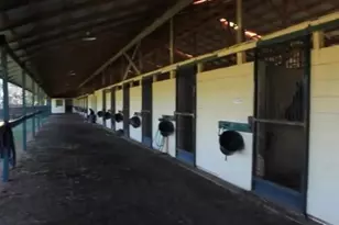 9400 NW 160th St, Reddick, FL 32686 - Photo 13