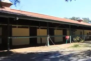 9400 NW 160th St, Reddick, FL 32686 - Photo 9