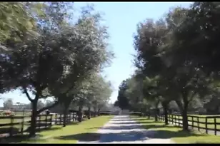 9400 NW 160th St, Reddick, FL 32686 - Photo 3