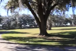 9400 NW 160th St, Reddick, FL 32686 - Photo 15