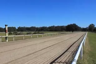 9400 NW 160th St, Reddick, FL 32686 - Photo 3