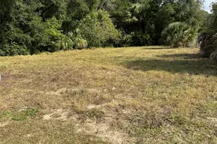 1409 S Central Ave, Apopka, FL 32703 - Photo 1