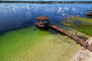 1804 Maple Leaf Dr, Windermere, FL 34786 - Photo 49