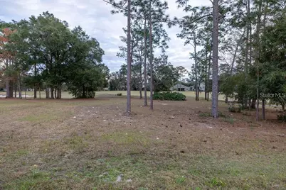 223 Cherokee Hill Court, Deland, FL 32724 - Photo 29