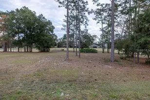 223 Cherokee hill court, Deland, FL 32724 - Photo 29