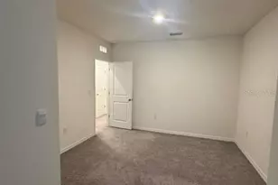 32467 Turtle Grace Loop, Wesley Chapel, FL 33545 - Photo 9