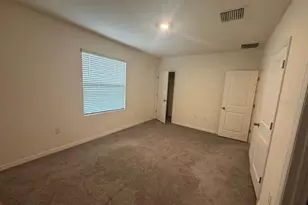 32467 Turtle Grace Loop, Wesley Chapel, FL 33545 - Photo 13