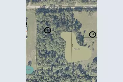 Settlers Loop, Geneva, FL 32732 - Photo 13