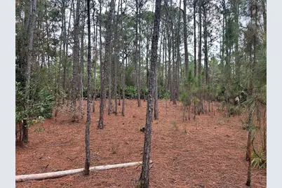 Settlers Loop, Geneva, FL 32732 - Photo 7