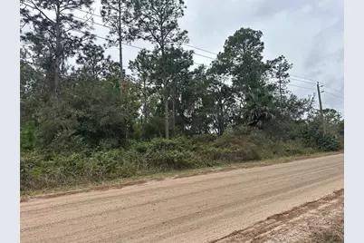 Settlers Loop, Geneva, FL 32732 - Photo 5