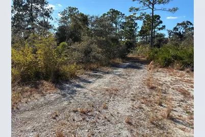 321 Showboat Avenue, Lake Placid, FL 33852 - Photo 1