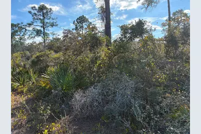 321 Showboat Avenue, Lake Placid, FL 33852 - Photo 3