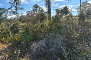 321 Showboat Ave, Lake Placid, FL 33852 - Photo 3