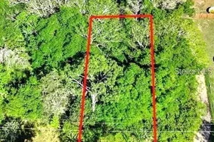 44126 Spring Creek Rd, Paisley, FL 32767 - Photo 1