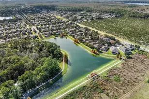 7167 Beek St, Windermere, FL 34786 - Photo 39