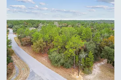 3435 W Danny Court, Beverly Hills, FL 34465 - Photo 5