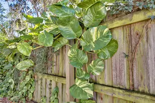 427 Sunglow Ct, Orlando, FL 32803 - Photo 31