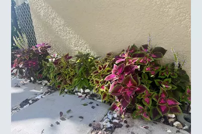 1242 N Fairway Drive, Apopka, FL 32712 - Photo 41